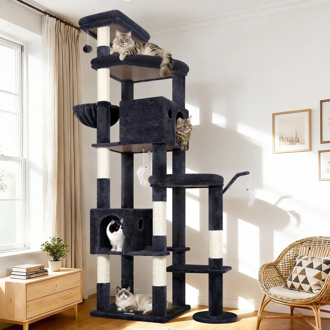 Beds & Furniture
