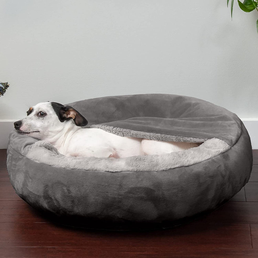 ef2cfcfb24ffa6f4628c19bd79e0490d